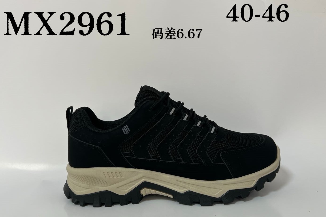 R161M6061