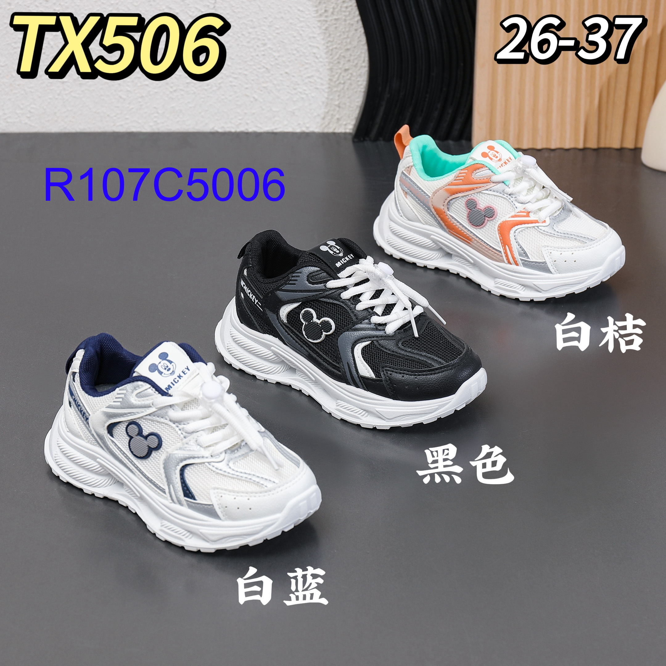 R107C5006