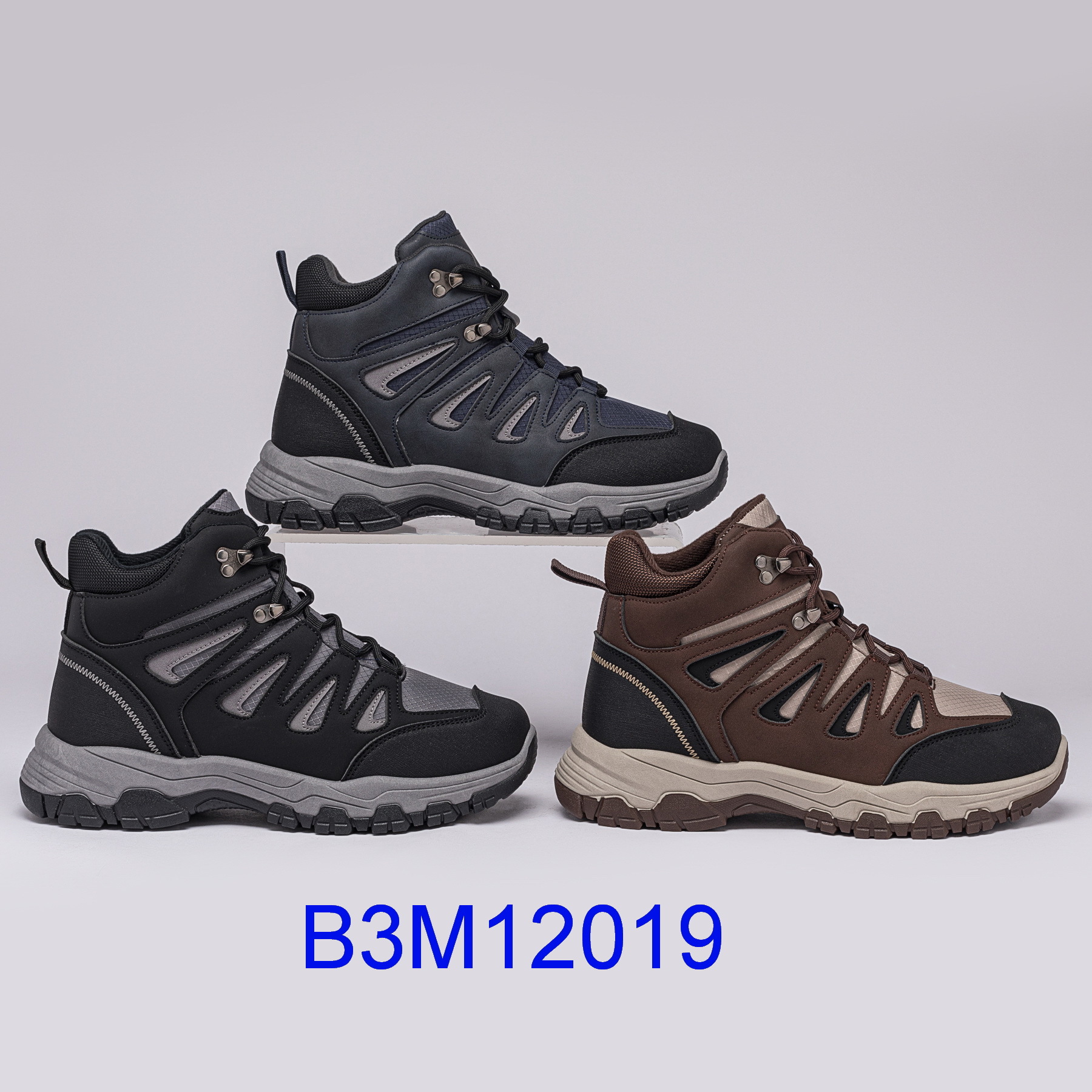 B3M12019