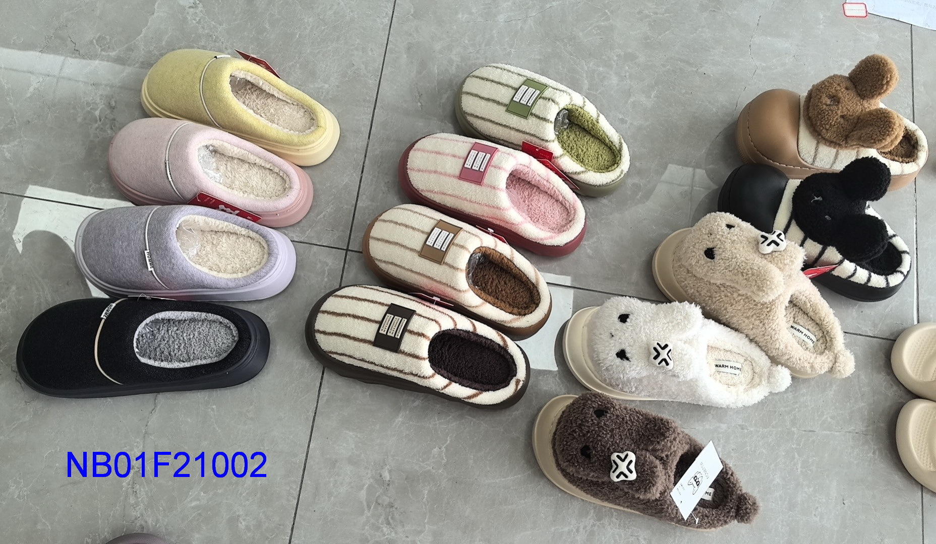 NB01F21003