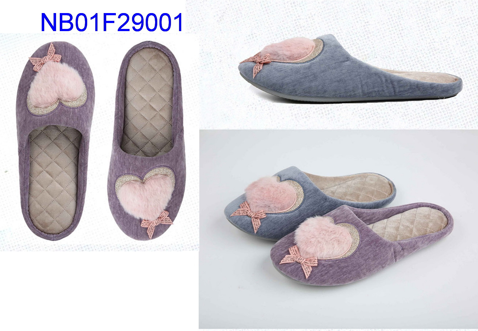 NB01F29001