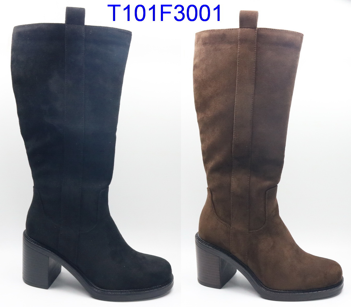 T101F3001