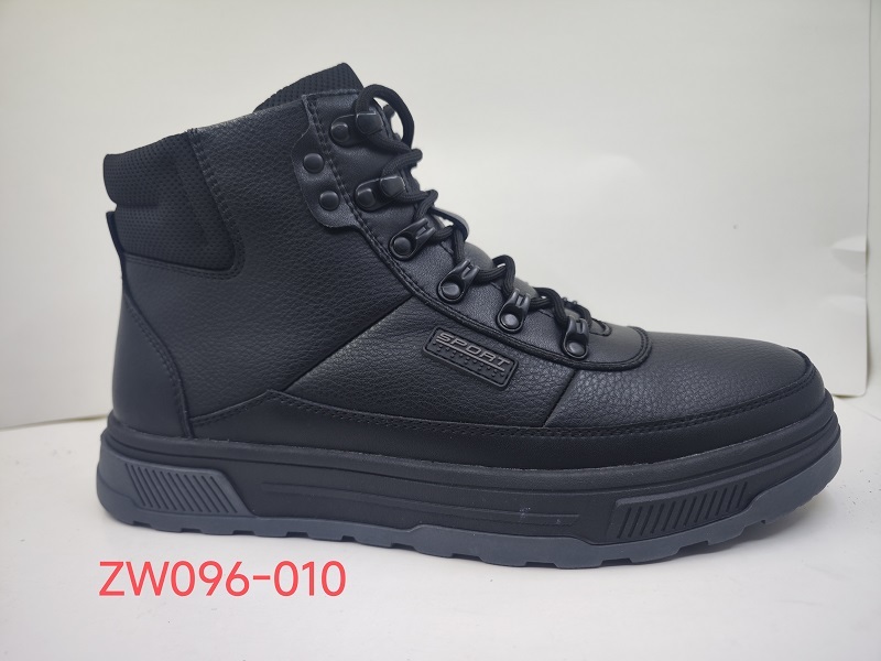 ZW096-010