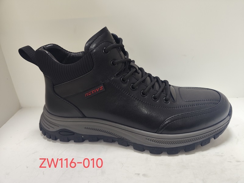 ZW116-010