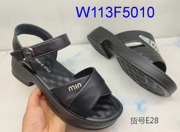 W113F5010