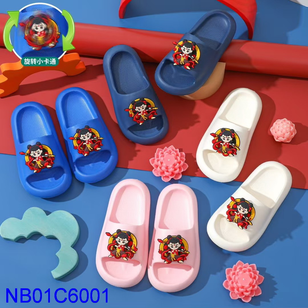 NB01C6001