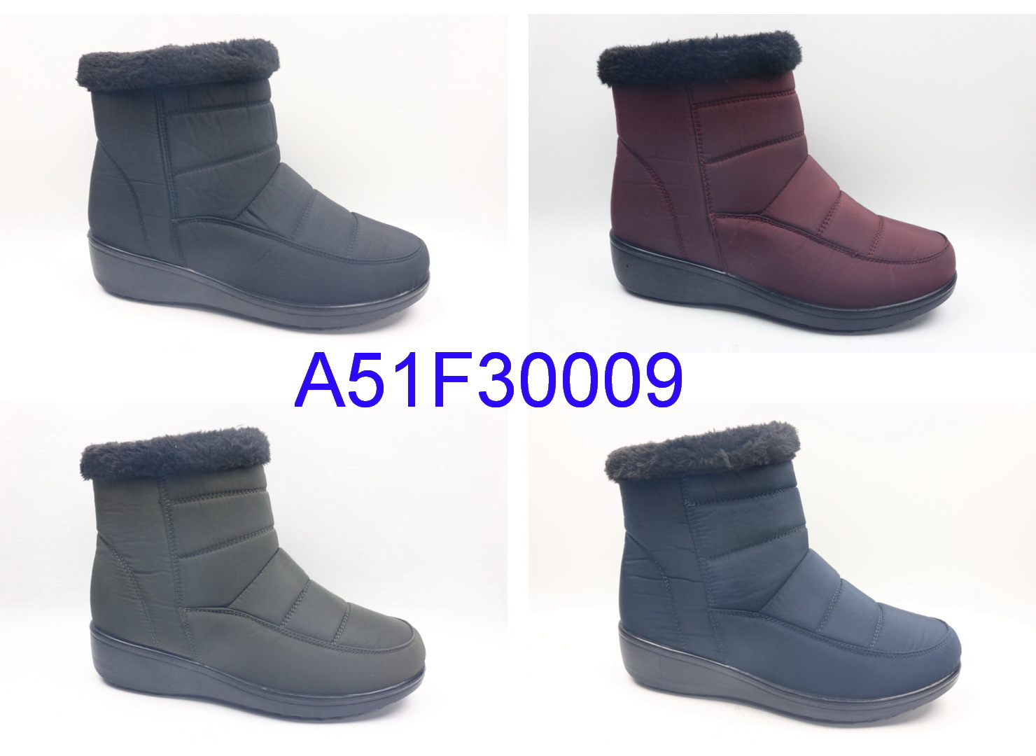 A51F30009