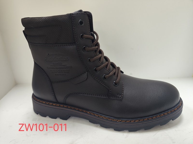 ZW101-011