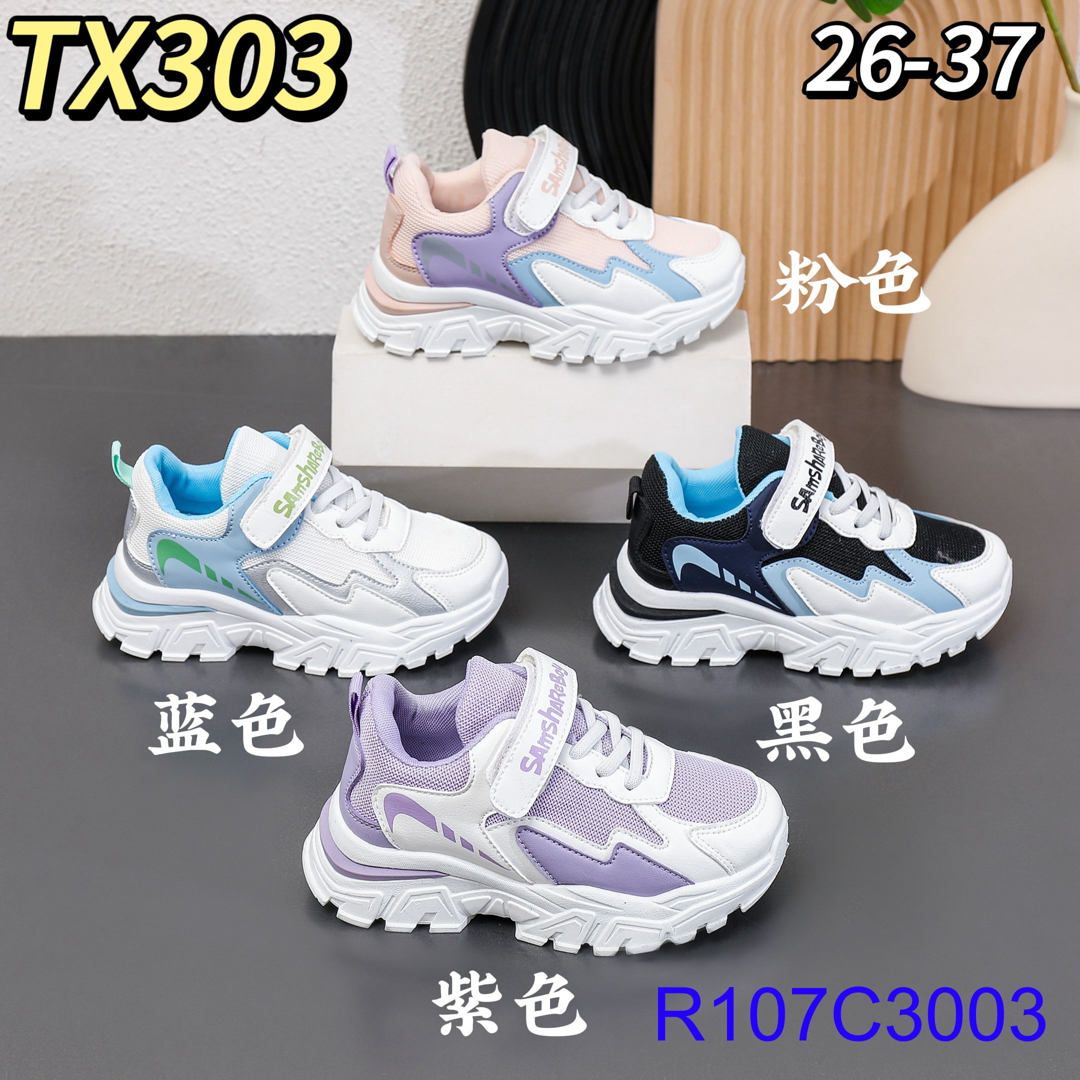 R107C3003