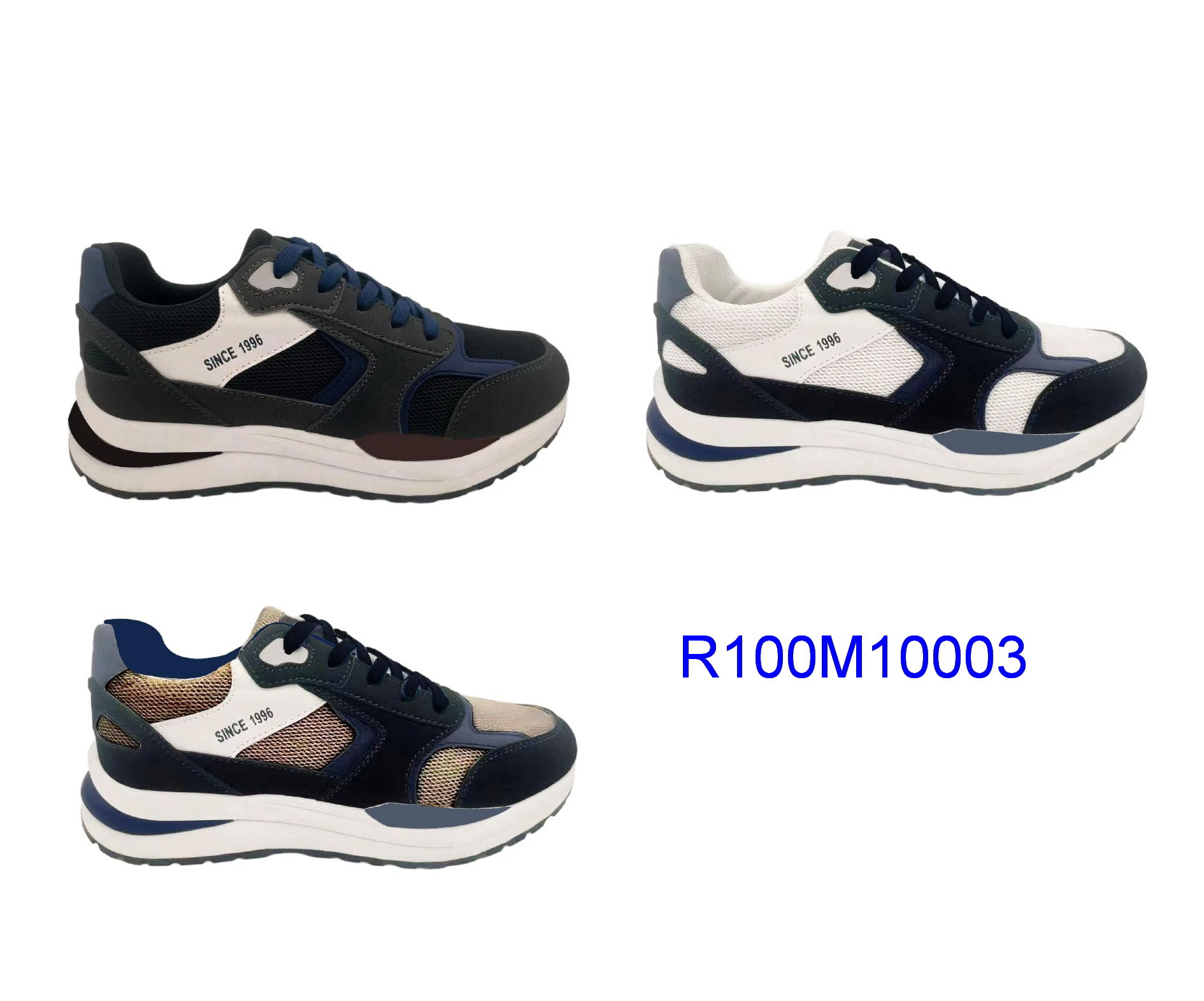 R100M10003