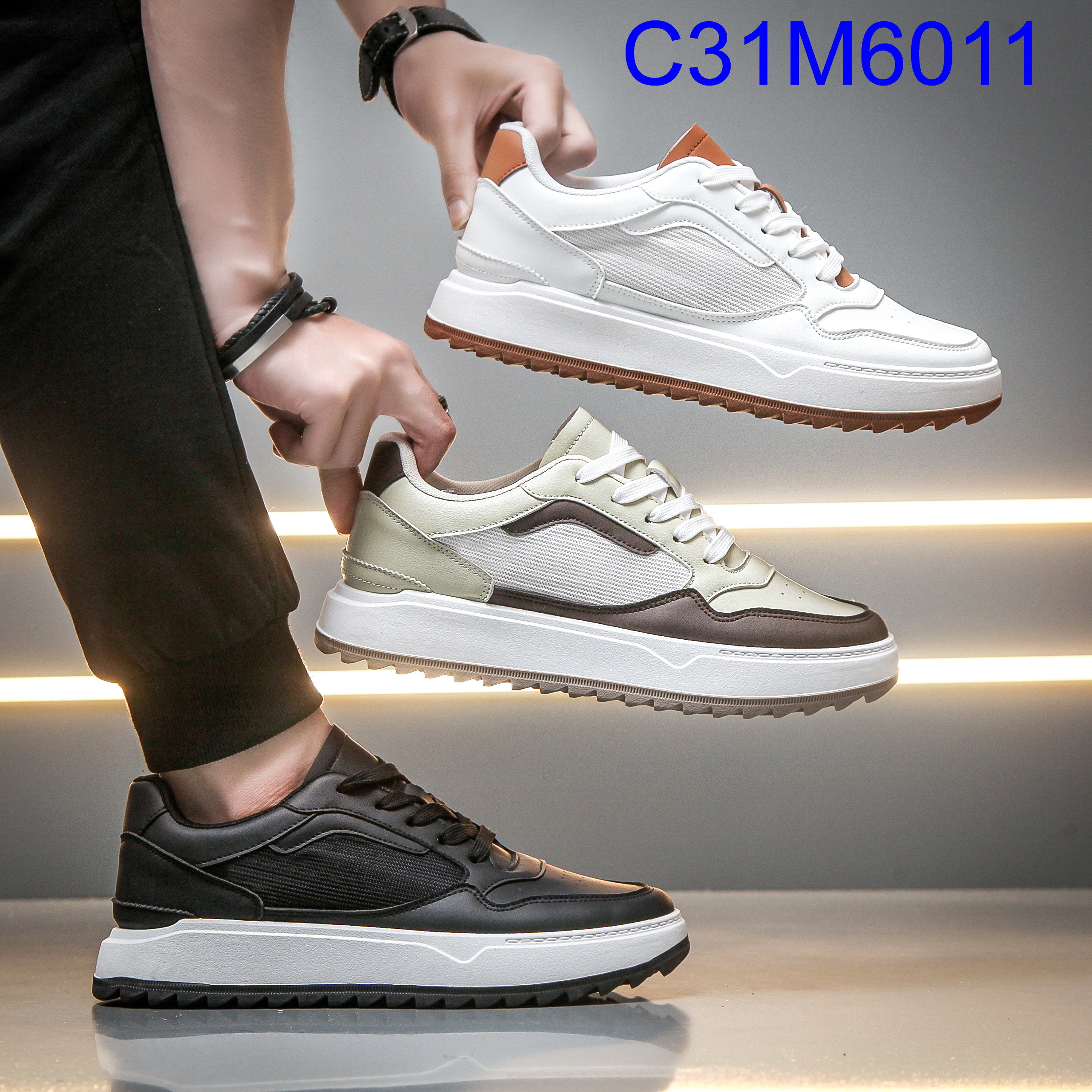 C31M6011