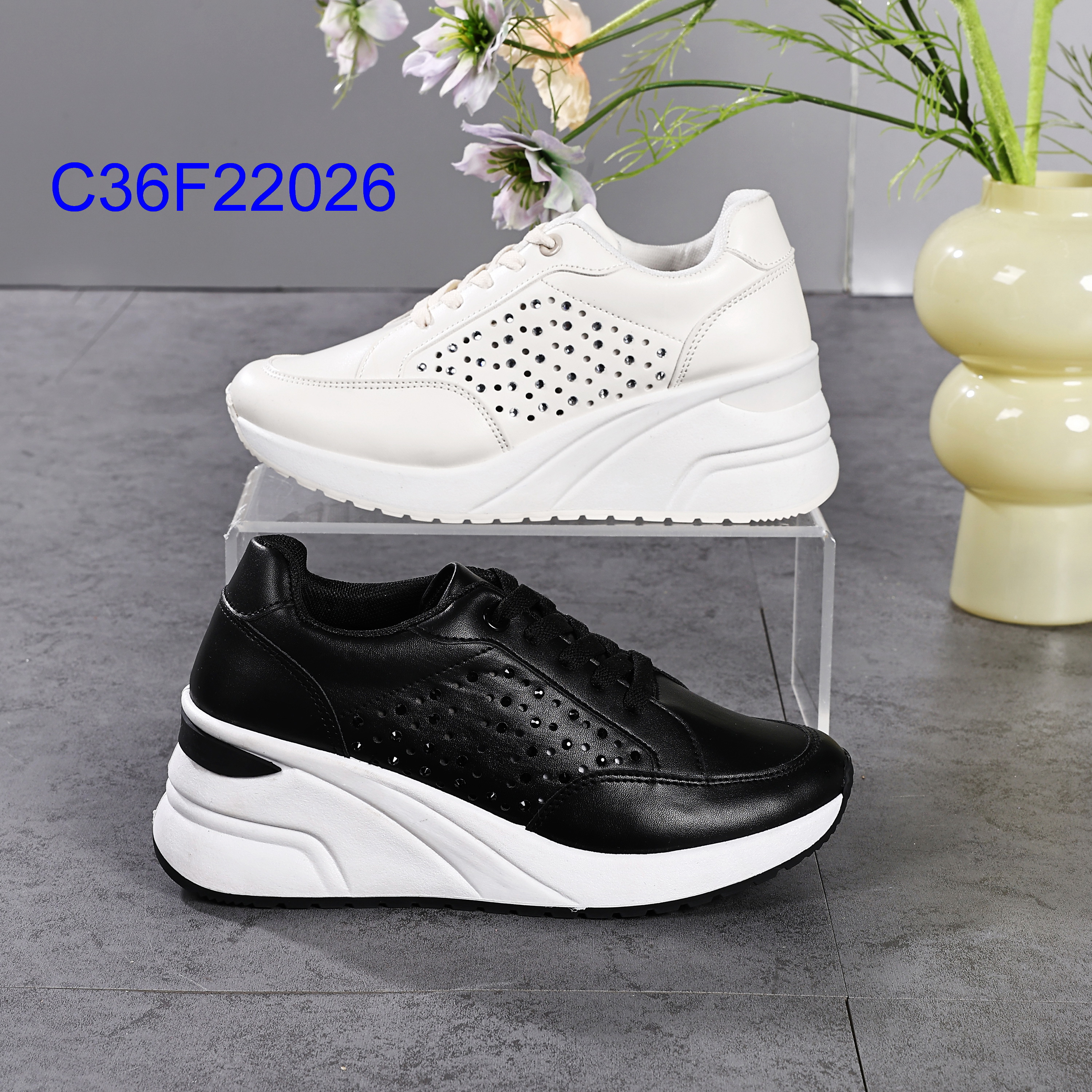 C36F22026