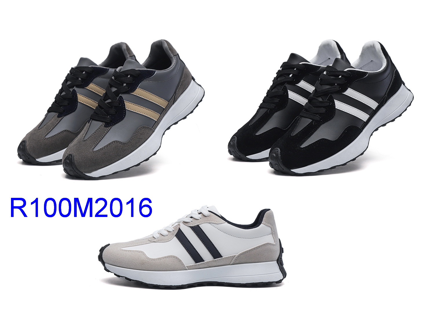 R100M2016