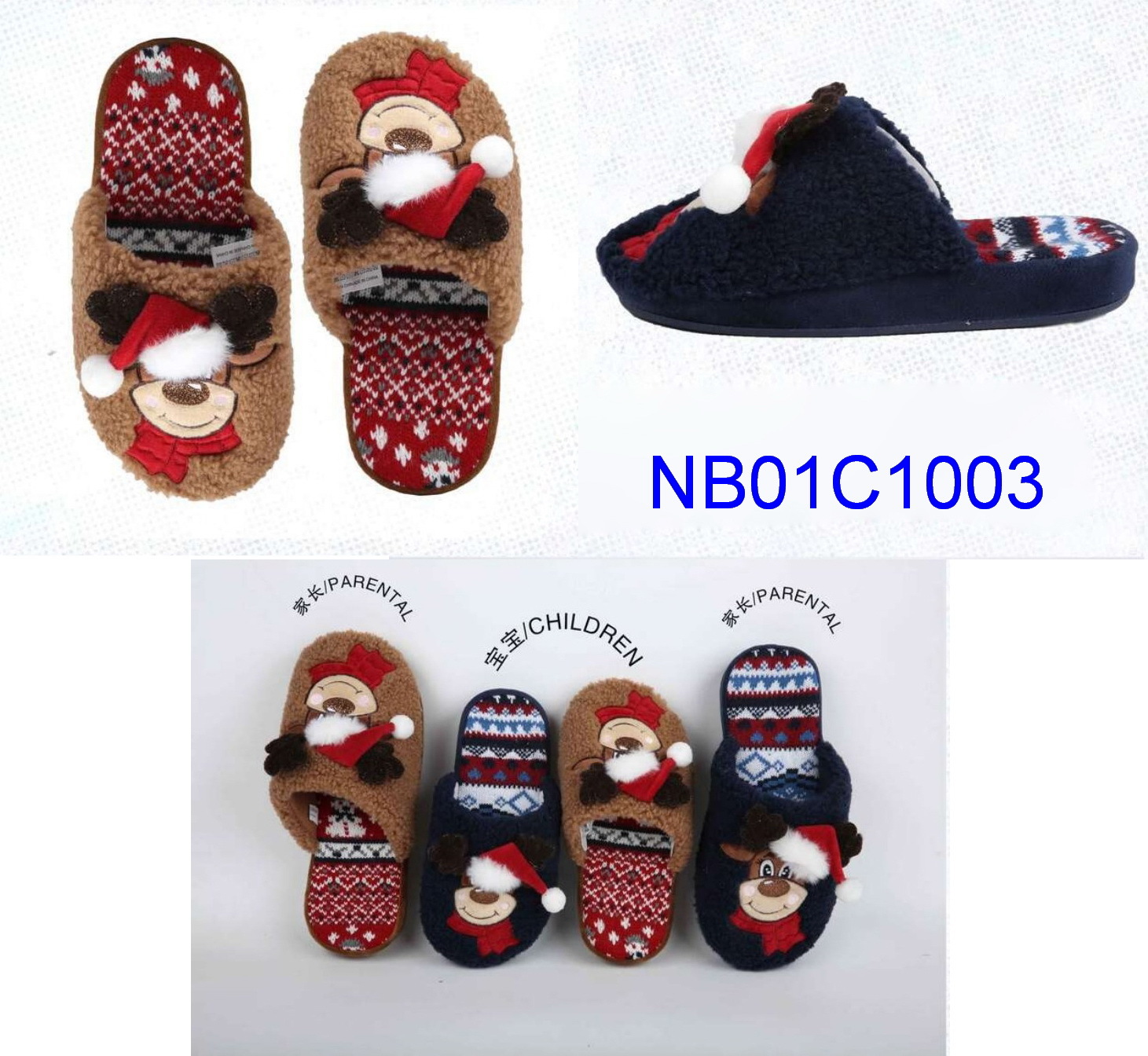 NB01C1003