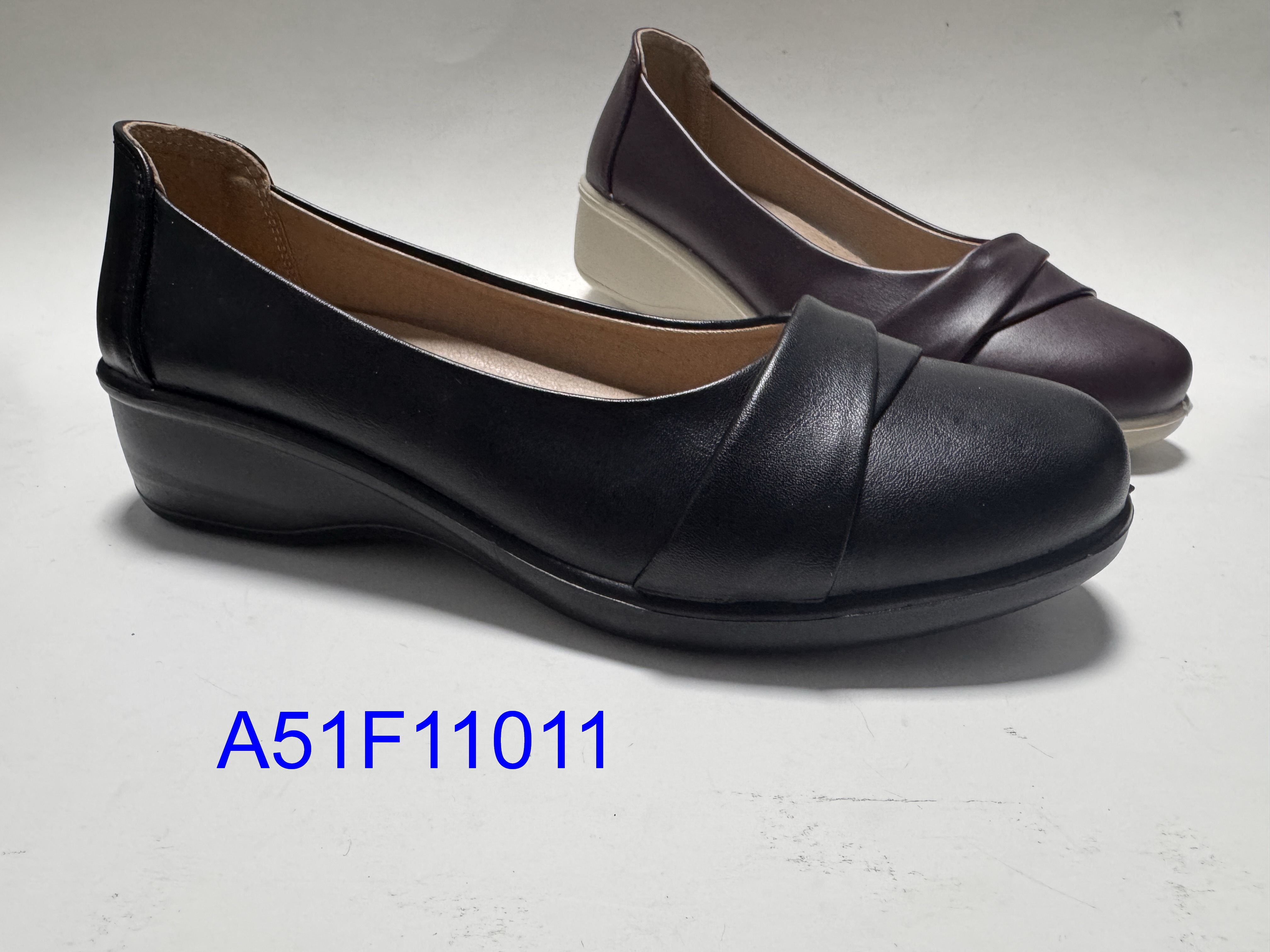 A51F11011
