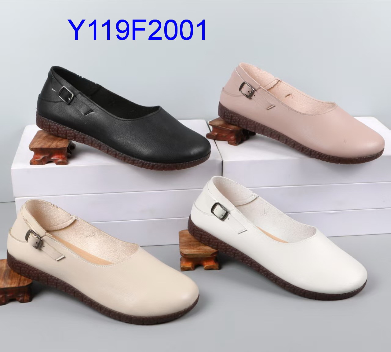 Y119F2001