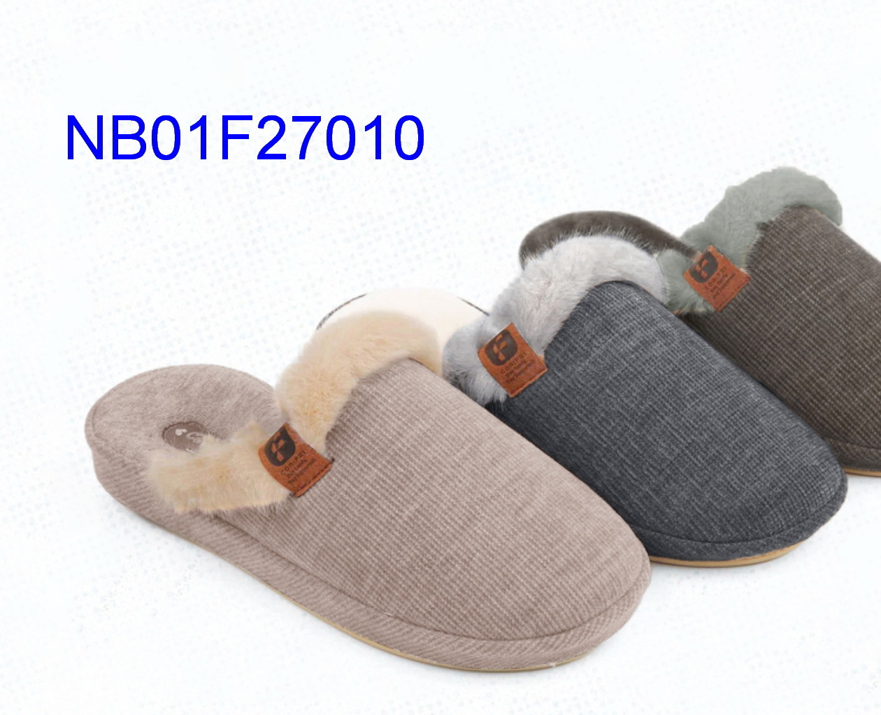 NB01F27010
