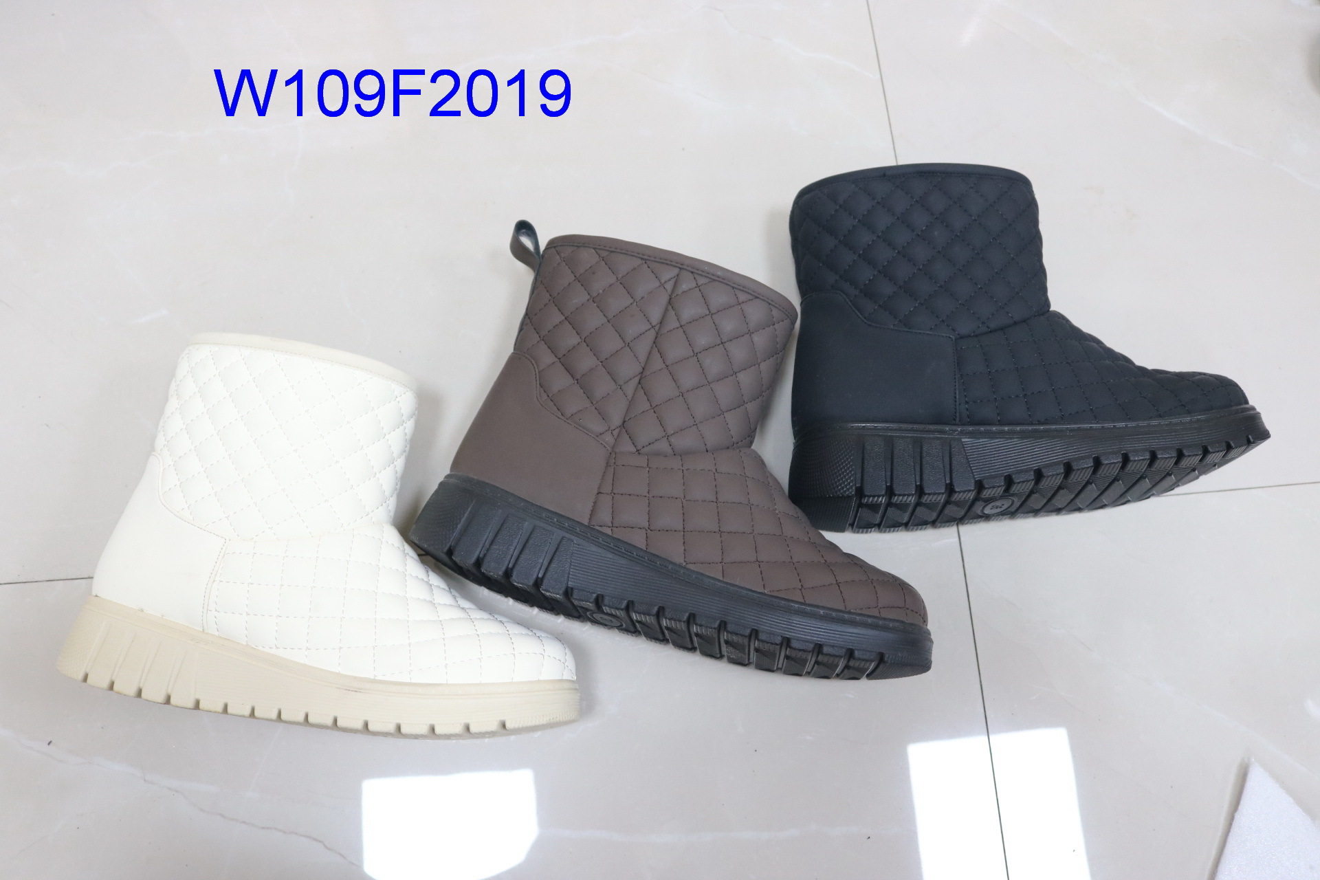W109F2019