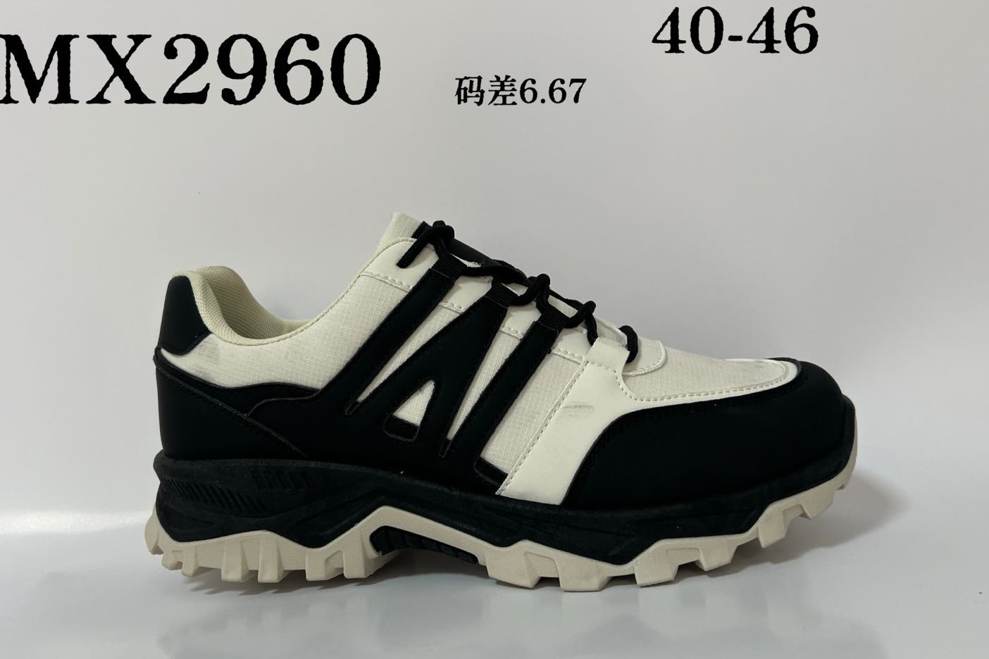 R161M6060
