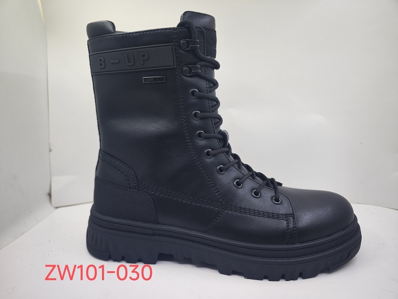 ZW101-030