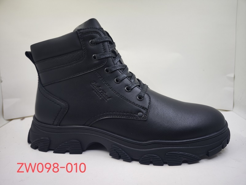 ZW098-010