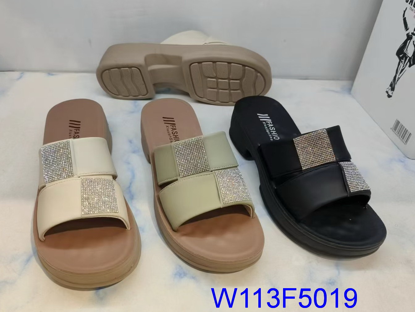 W113F5019