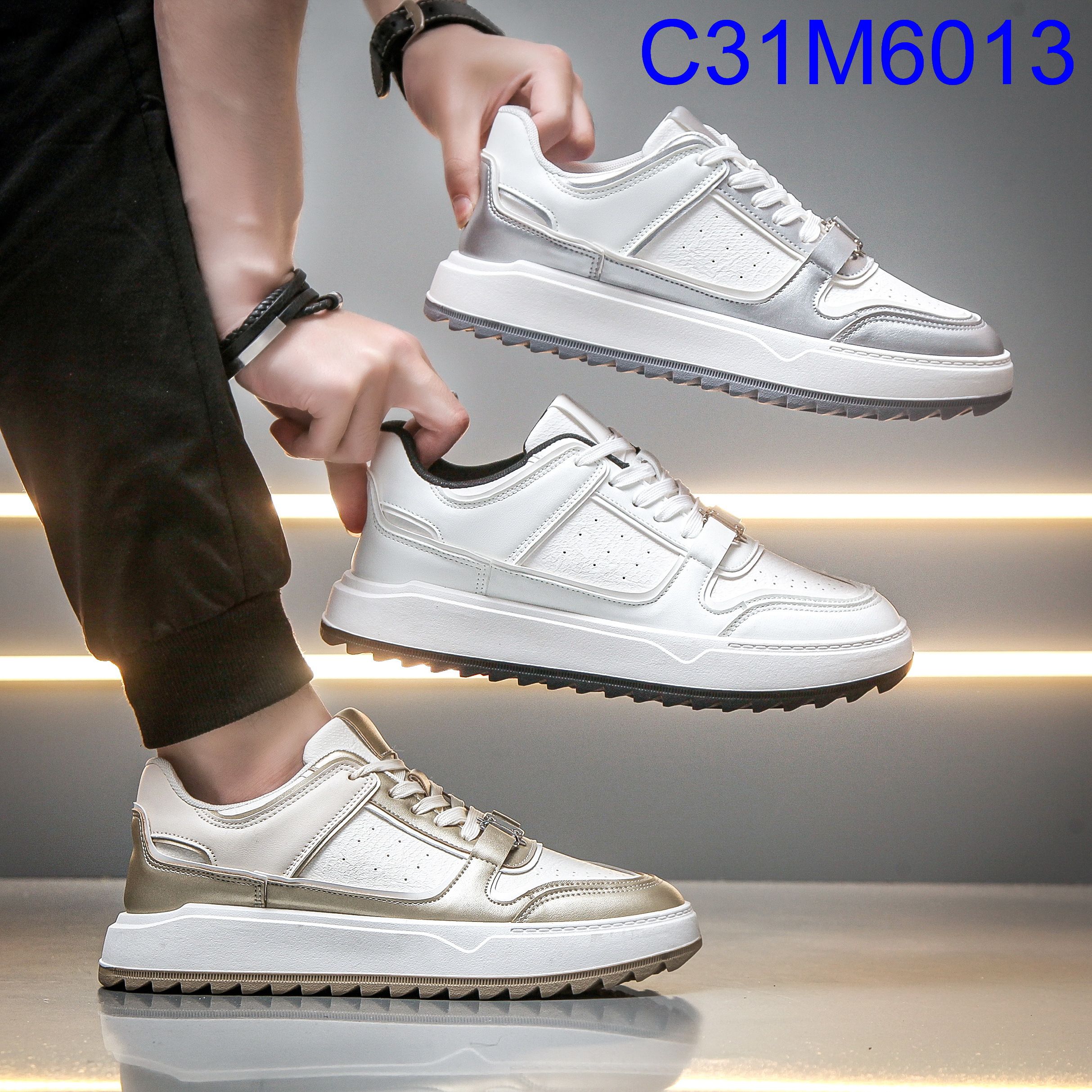 C31M6013