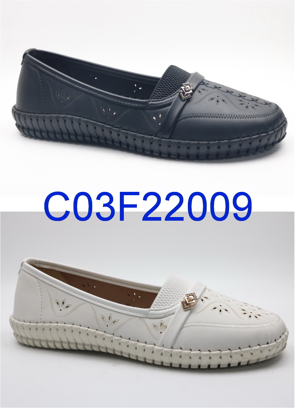 C03F22009