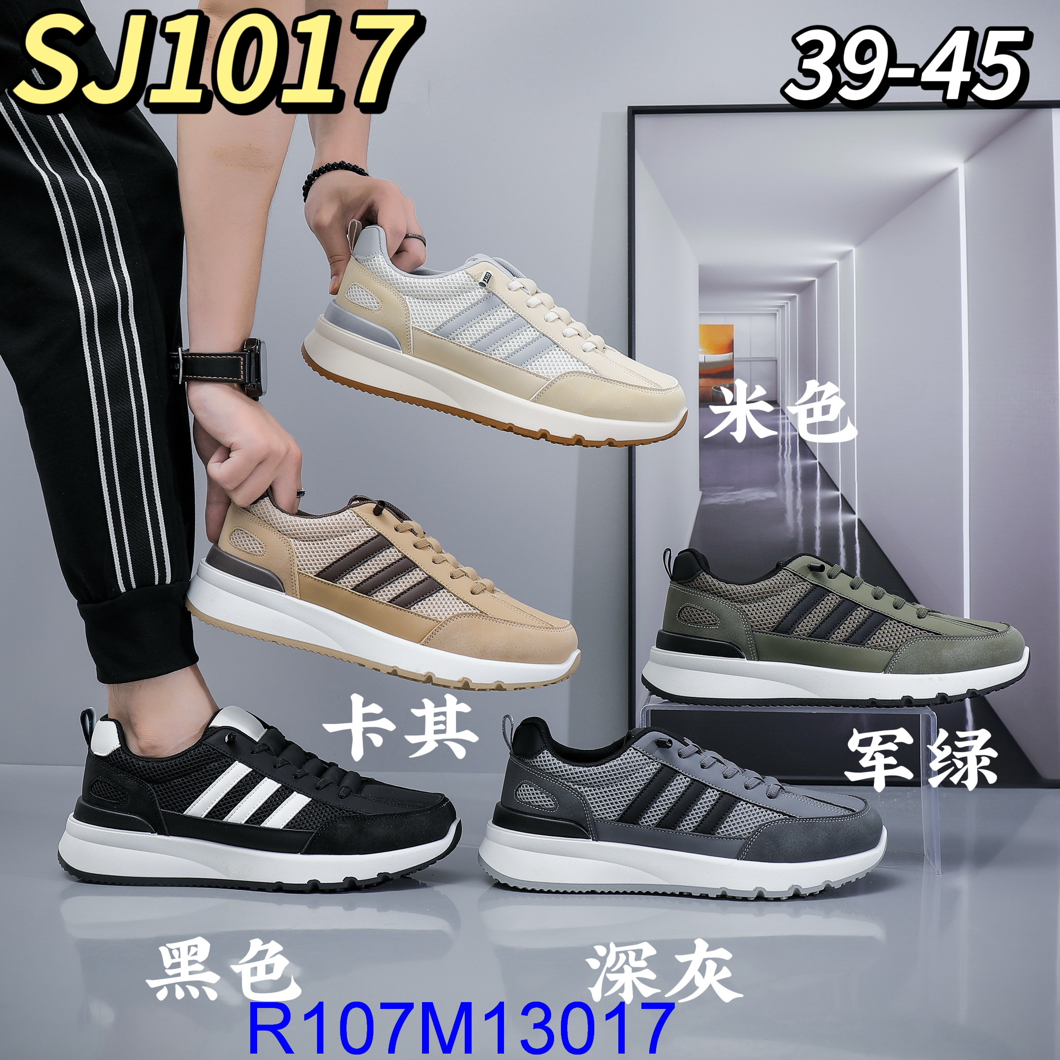 R107M13017