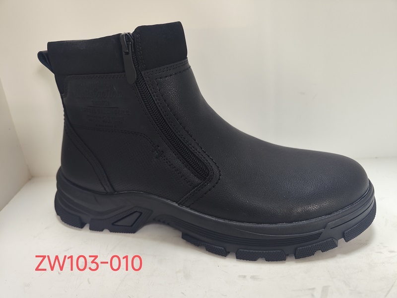 ZW103-010