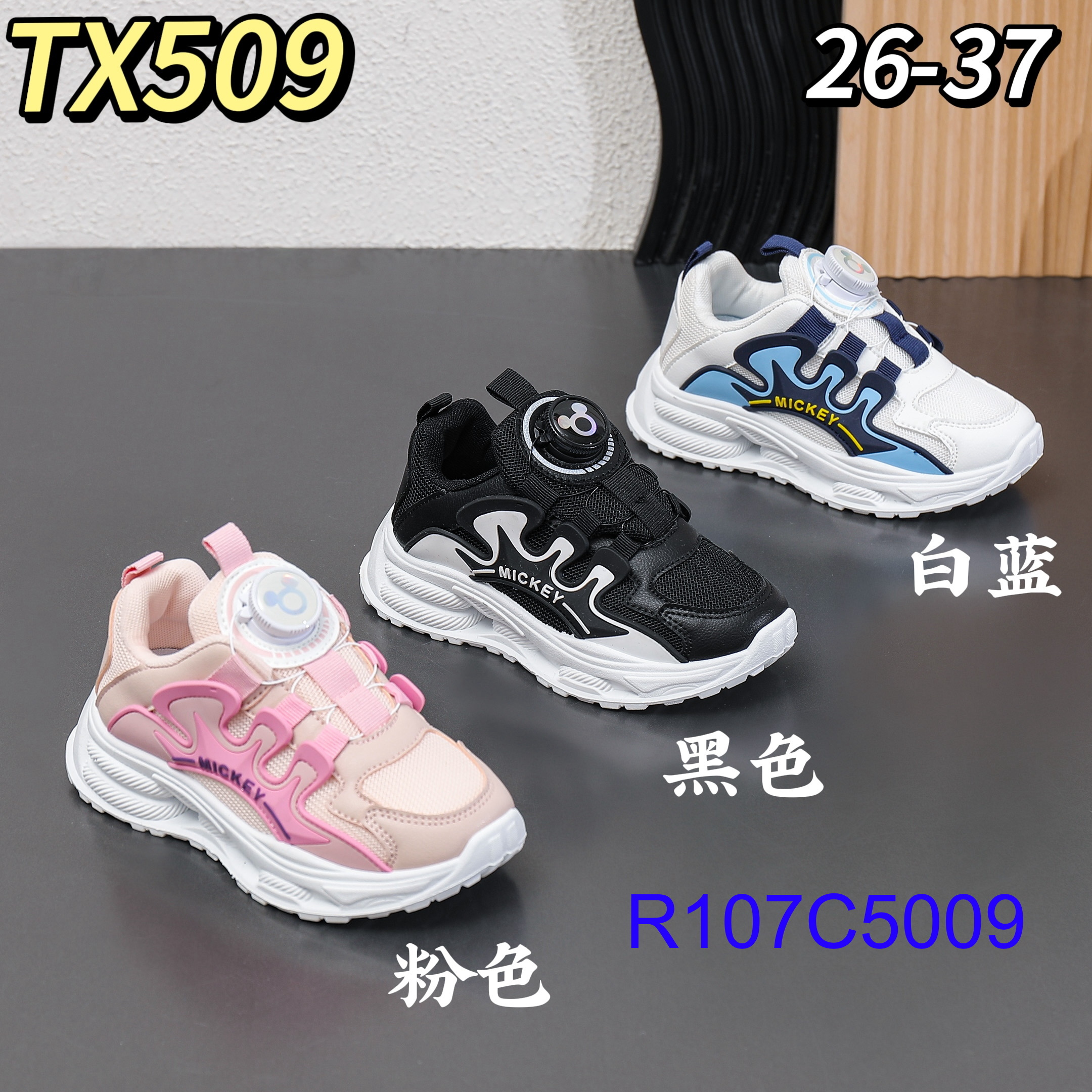 R107C5009