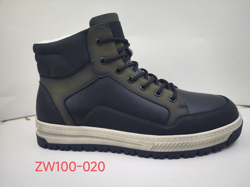 ZW100-020