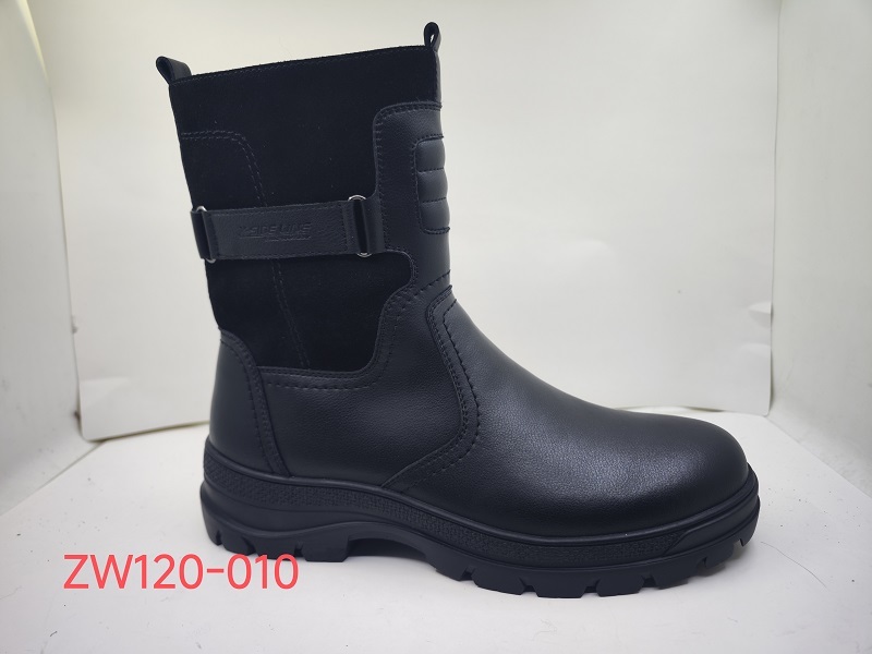 ZW120-010