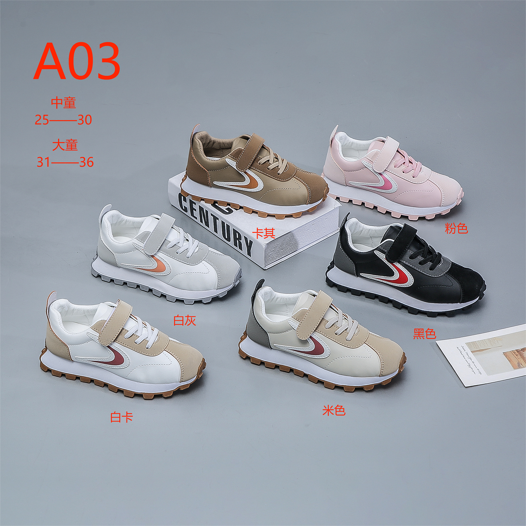 C89C1003