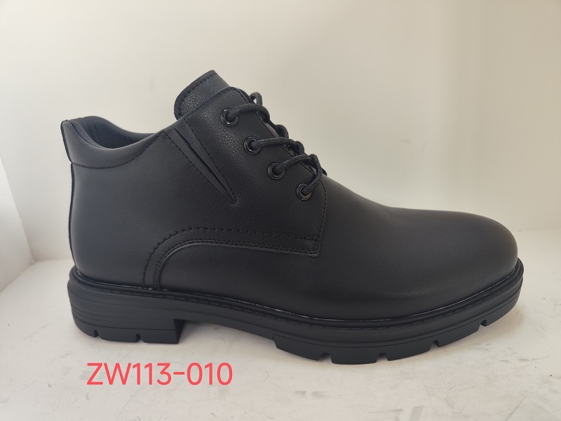ZW113-010
