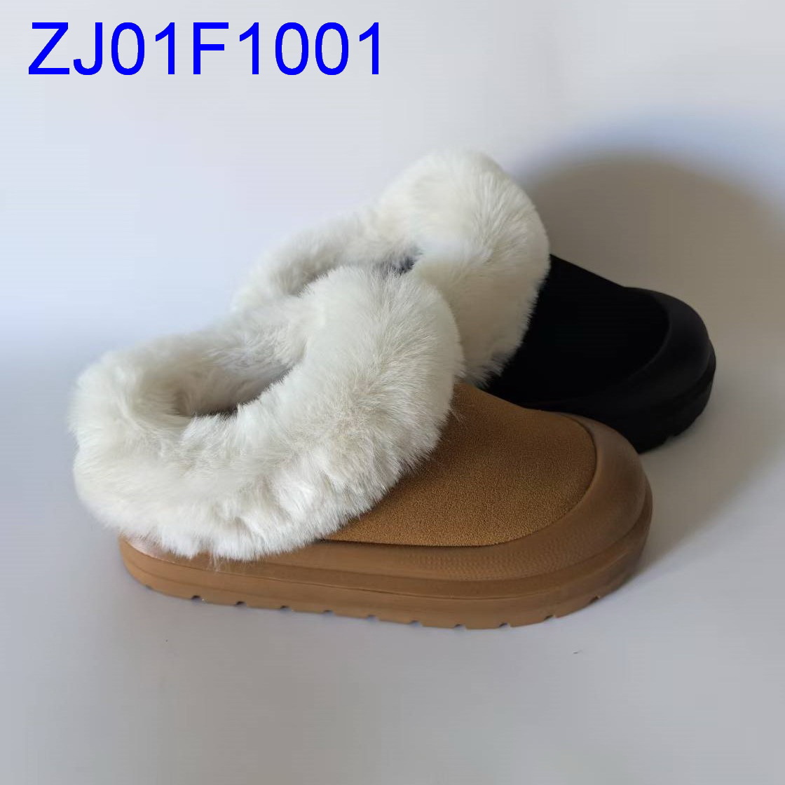 ZJ01F1001