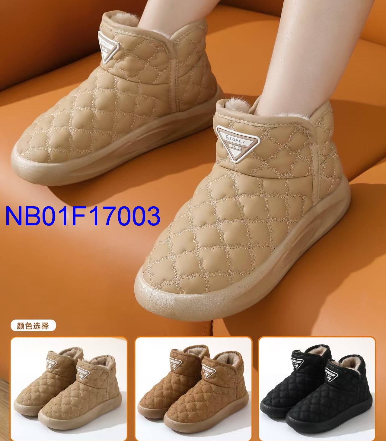 NB01F17003
