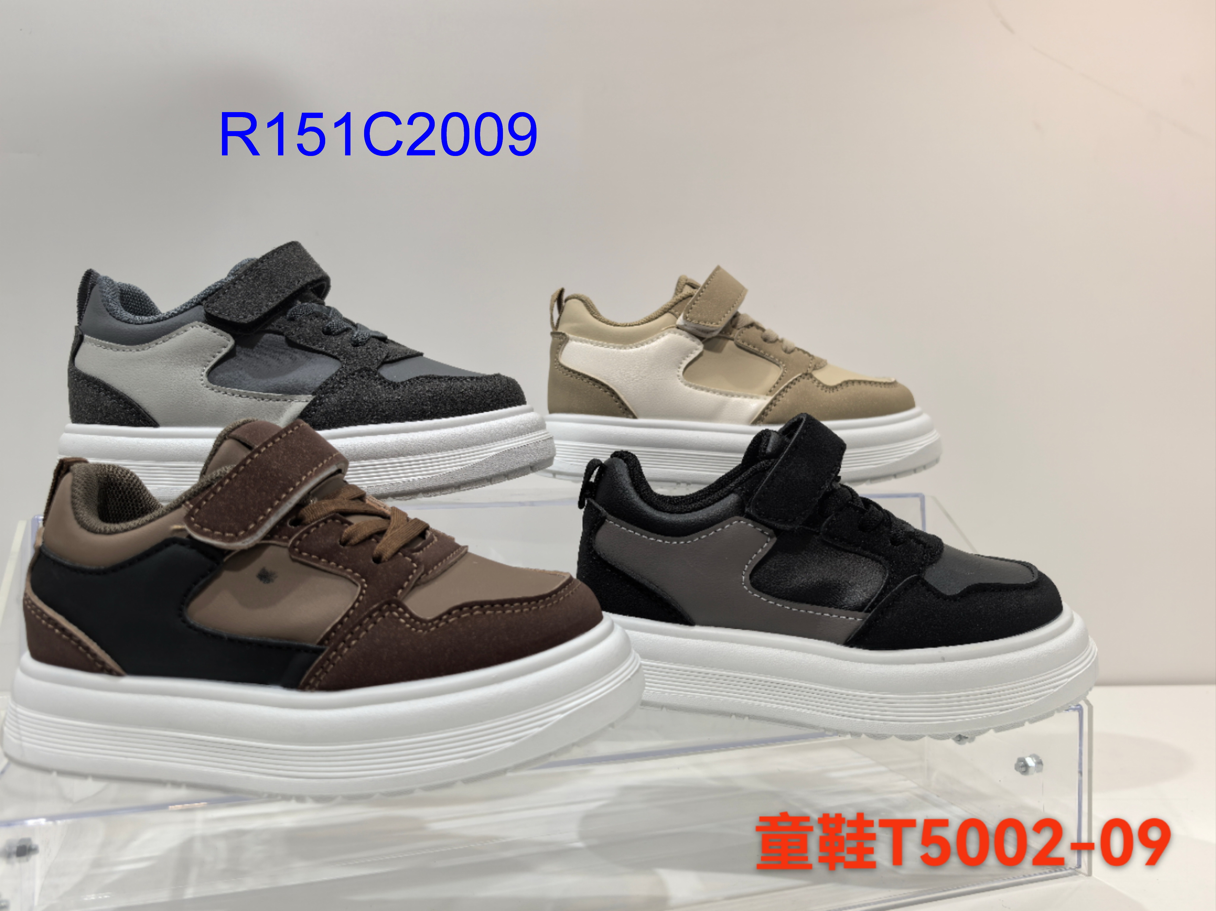 R151C2009