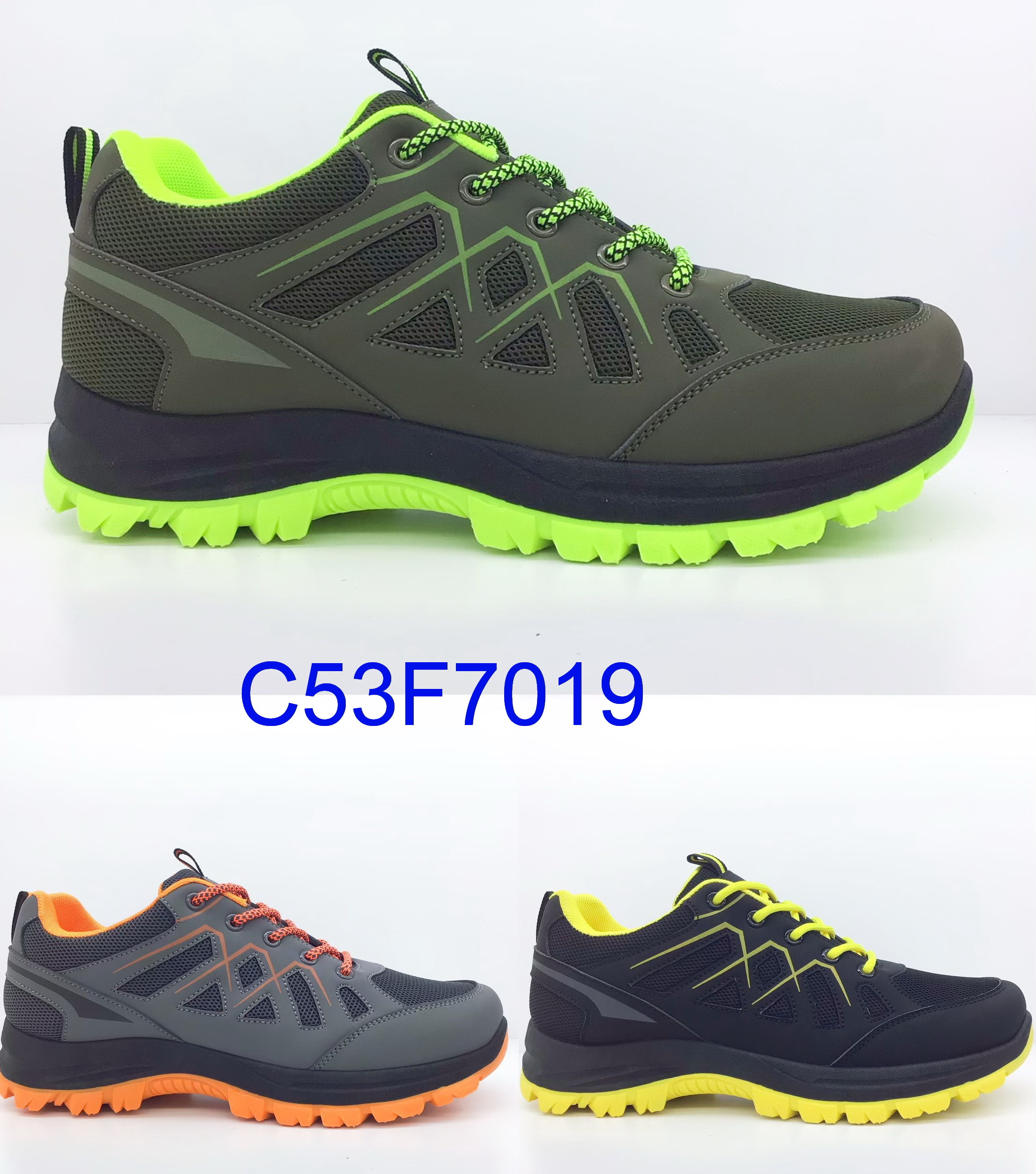 C53F7019