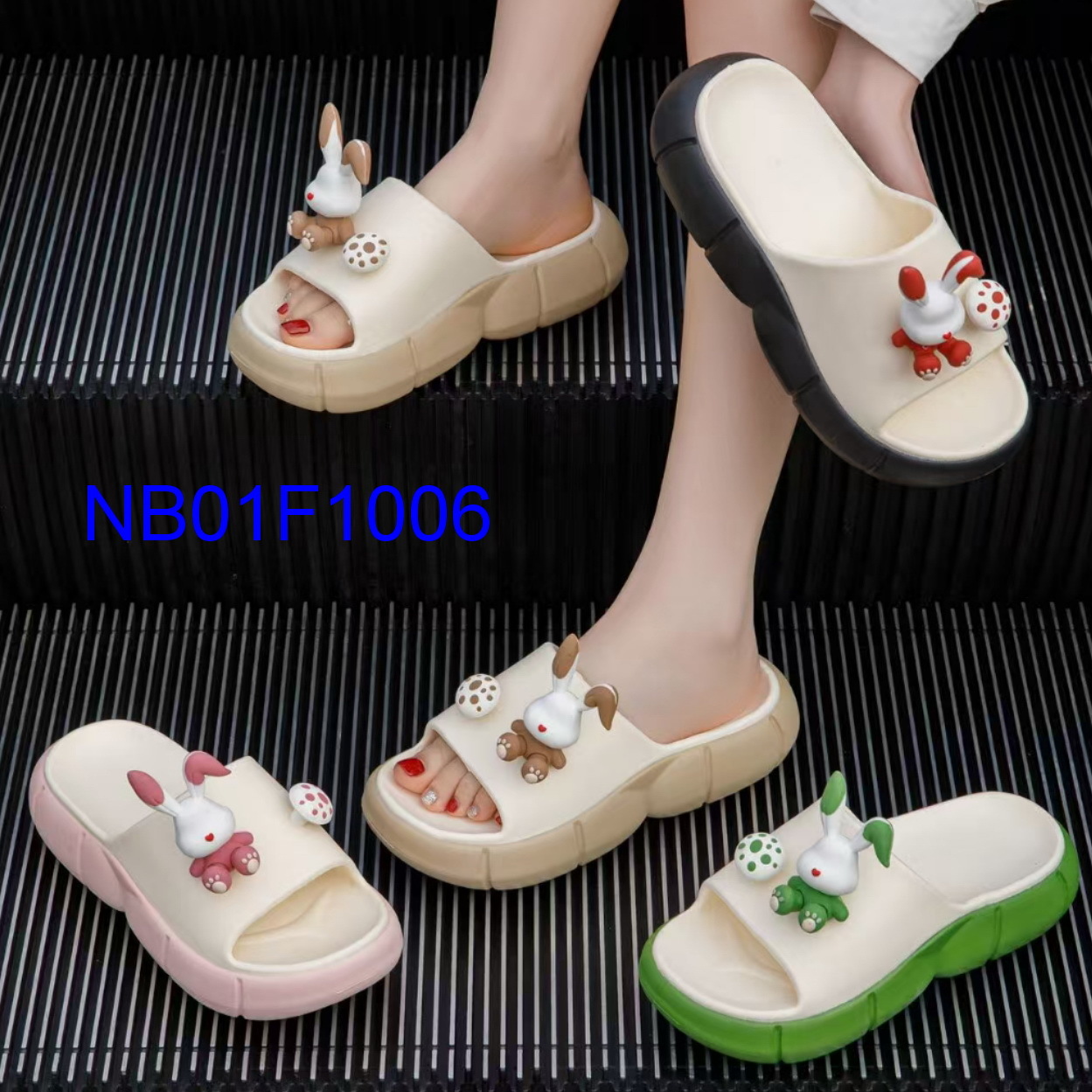 NB01F1006