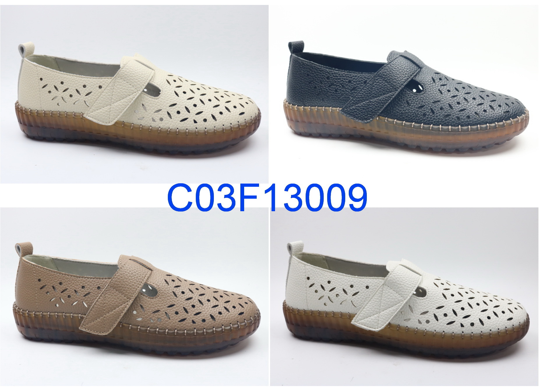 C03F13009
