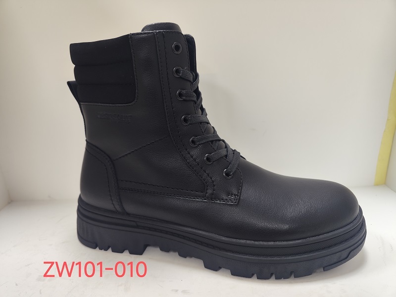 ZW101-010