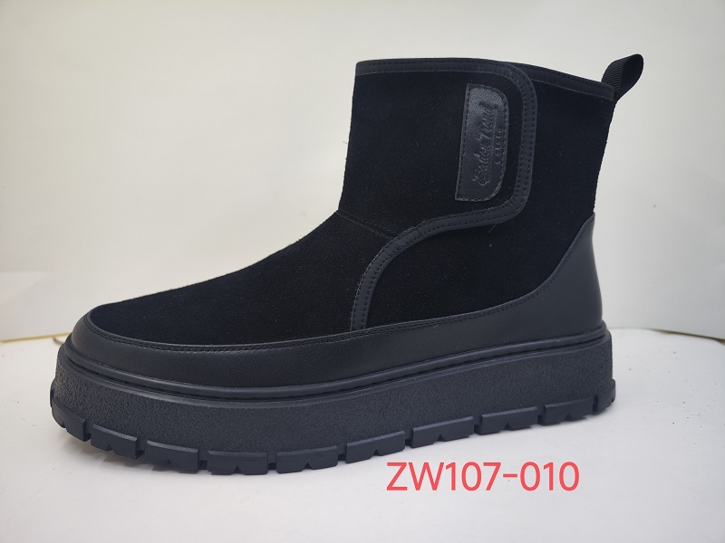 ZW107-010