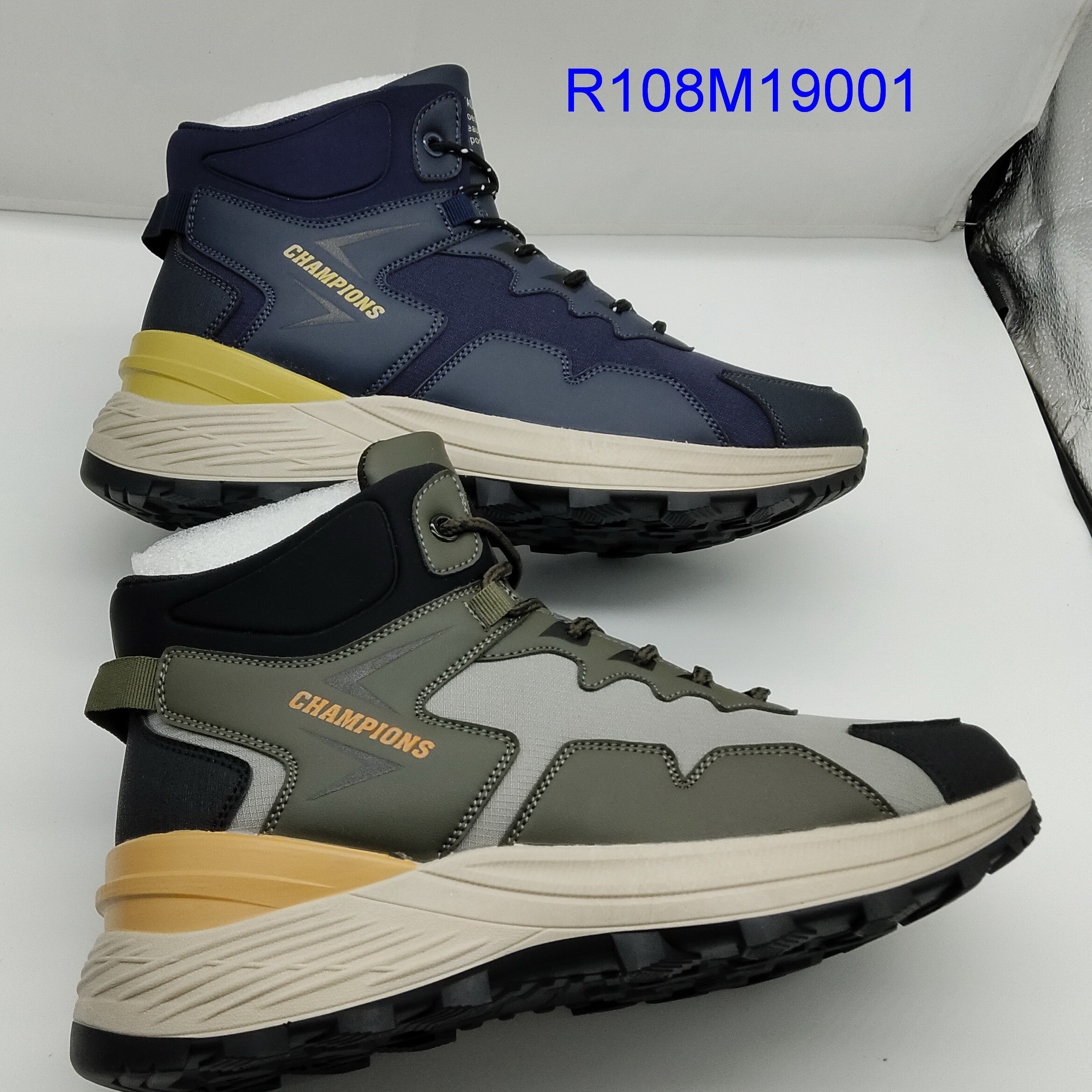 R108M19001