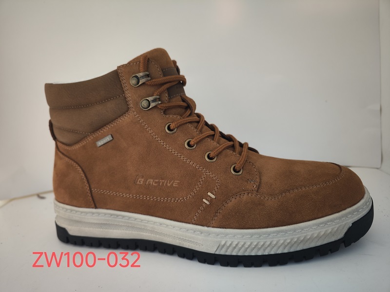 ZW100-032