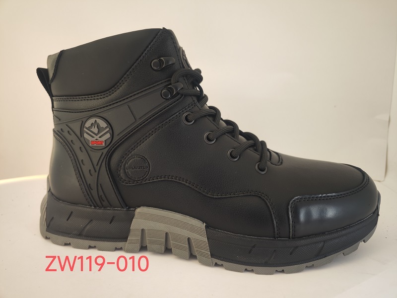 ZW119-010