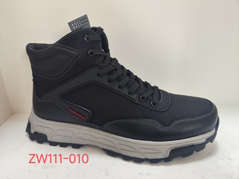 ZW111-010