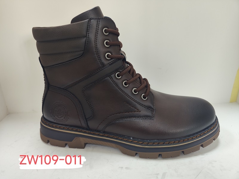 ZW109-011