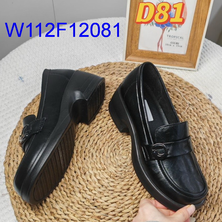 W112F12081