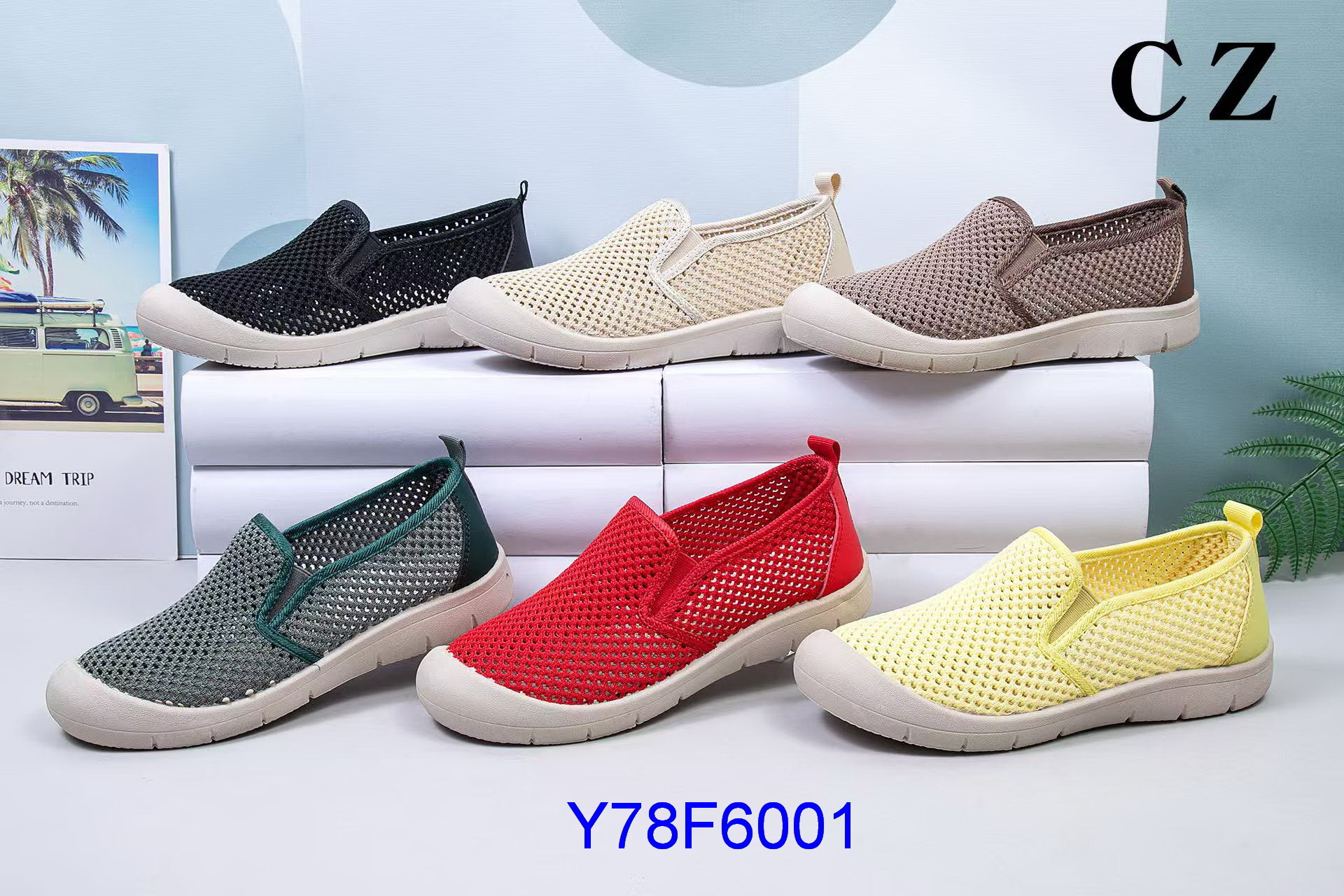 Y78F6001